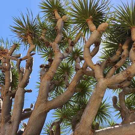 Great Views & Heated Pool - El Perenquen 5 公寓 *